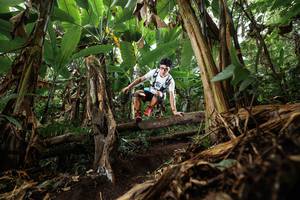 BIB: 
                            <button type="button" onclick="openModal(22392724)" class="btn btn-primary btn-sm float-right btn-popup" data-toggle="modal" data-target=".modal-high-quality">
                        <i class="fas fa-shopping-cart"></i> Add to Cart
                    </button>
                                            <button type="button" onclick="isThisMe(22392724, true)" class="btn btn-success btn-sm float-right btn-popup btn-isme hidden" data-toggle="tooltip" data-placement="bottom" title="นี่คือรูปของคุณใช่ไหม คลิกที่นี่เพื่อเอาเข้าอัลบั้ม">
                        <i class="fas fa-plus"></i> Add to album
                    </button>
                    <button type="button" onclick="isThisMe(22392724, false)" class="btn btn-warning btn-sm float-right btn-popup btn-isnotme hidden">
                        <i class="fas fa-ban"></i> Remove from album
                    </button>