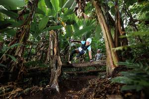 BIB: 
                            <button type="button" onclick="openModal(22397981)" class="btn btn-primary btn-sm float-right btn-popup" data-toggle="modal" data-target=".modal-high-quality">
                        <i class="fas fa-shopping-cart"></i> Add to Cart
                    </button>
                                            <button type="button" onclick="isThisMe(22397981, true)" class="btn btn-success btn-sm float-right btn-popup btn-isme hidden" data-toggle="tooltip" data-placement="bottom" title="นี่คือรูปของคุณใช่ไหม คลิกที่นี่เพื่อเอาเข้าอัลบั้ม">
                        <i class="fas fa-plus"></i> Add to album
                    </button>
                    <button type="button" onclick="isThisMe(22397981, false)" class="btn btn-warning btn-sm float-right btn-popup btn-isnotme hidden">
                        <i class="fas fa-ban"></i> Remove from album
                    </button>