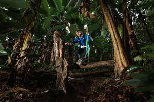 BIB: 
                            <button type="button" onclick="openModal(22422429)" class="btn btn-primary btn-sm float-right btn-popup" data-toggle="modal" data-target=".modal-high-quality">
                        <i class="fas fa-shopping-cart"></i> Add to Cart
                    </button>
                                            <button type="button" onclick="isThisMe(22422429, true)" class="btn btn-success btn-sm float-right btn-popup btn-isme hidden" data-toggle="tooltip" data-placement="bottom" title="นี่คือรูปของคุณใช่ไหม คลิกที่นี่เพื่อเอาเข้าอัลบั้ม">
                        <i class="fas fa-plus"></i> Add to album
                    </button>
                    <button type="button" onclick="isThisMe(22422429, false)" class="btn btn-warning btn-sm float-right btn-popup btn-isnotme hidden">
                        <i class="fas fa-ban"></i> Remove from album
                    </button>