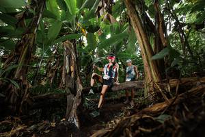 BIB: 
                            <button type="button" onclick="openModal(22392629)" class="btn btn-primary btn-sm float-right btn-popup" data-toggle="modal" data-target=".modal-high-quality">
                        <i class="fas fa-shopping-cart"></i> Add to Cart
                    </button>
                                            <button type="button" onclick="isThisMe(22392629, true)" class="btn btn-success btn-sm float-right btn-popup btn-isme hidden" data-toggle="tooltip" data-placement="bottom" title="นี่คือรูปของคุณใช่ไหม คลิกที่นี่เพื่อเอาเข้าอัลบั้ม">
                        <i class="fas fa-plus"></i> Add to album
                    </button>
                    <button type="button" onclick="isThisMe(22392629, false)" class="btn btn-warning btn-sm float-right btn-popup btn-isnotme hidden">
                        <i class="fas fa-ban"></i> Remove from album
                    </button>