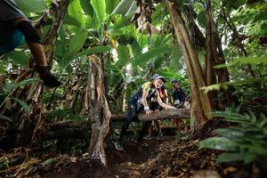 BIB: 
                            <button type="button" onclick="openModal(22395232)" class="btn btn-primary btn-sm float-right btn-popup" data-toggle="modal" data-target=".modal-high-quality">
                        <i class="fas fa-shopping-cart"></i> Add to Cart
                    </button>
                                            <button type="button" onclick="isThisMe(22395232, true)" class="btn btn-success btn-sm float-right btn-popup btn-isme hidden" data-toggle="tooltip" data-placement="bottom" title="นี่คือรูปของคุณใช่ไหม คลิกที่นี่เพื่อเอาเข้าอัลบั้ม">
                        <i class="fas fa-plus"></i> Add to album
                    </button>
                    <button type="button" onclick="isThisMe(22395232, false)" class="btn btn-warning btn-sm float-right btn-popup btn-isnotme hidden">
                        <i class="fas fa-ban"></i> Remove from album
                    </button>