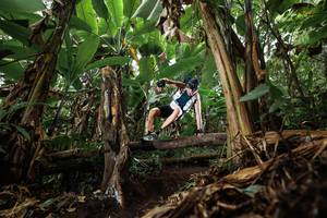 BIB: 
                            <button type="button" onclick="openModal(22392780)" class="btn btn-primary btn-sm float-right btn-popup" data-toggle="modal" data-target=".modal-high-quality">
                        <i class="fas fa-shopping-cart"></i> Add to Cart
                    </button>
                                            <button type="button" onclick="isThisMe(22392780, true)" class="btn btn-success btn-sm float-right btn-popup btn-isme hidden" data-toggle="tooltip" data-placement="bottom" title="นี่คือรูปของคุณใช่ไหม คลิกที่นี่เพื่อเอาเข้าอัลบั้ม">
                        <i class="fas fa-plus"></i> Add to album
                    </button>
                    <button type="button" onclick="isThisMe(22392780, false)" class="btn btn-warning btn-sm float-right btn-popup btn-isnotme hidden">
                        <i class="fas fa-ban"></i> Remove from album
                    </button>