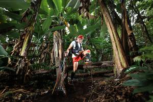 BIB: 
                            <button type="button" onclick="openModal(22421616)" class="btn btn-primary btn-sm float-right btn-popup" data-toggle="modal" data-target=".modal-high-quality">
                        <i class="fas fa-shopping-cart"></i> Add to Cart
                    </button>
                                            <button type="button" onclick="isThisMe(22421616, true)" class="btn btn-success btn-sm float-right btn-popup btn-isme hidden" data-toggle="tooltip" data-placement="bottom" title="นี่คือรูปของคุณใช่ไหม คลิกที่นี่เพื่อเอาเข้าอัลบั้ม">
                        <i class="fas fa-plus"></i> Add to album
                    </button>
                    <button type="button" onclick="isThisMe(22421616, false)" class="btn btn-warning btn-sm float-right btn-popup btn-isnotme hidden">
                        <i class="fas fa-ban"></i> Remove from album
                    </button>