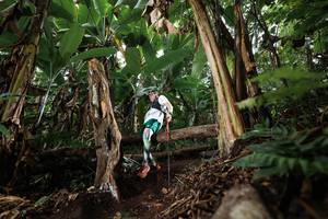 BIB: 
                            <button type="button" onclick="openModal(22414414)" class="btn btn-primary btn-sm float-right btn-popup" data-toggle="modal" data-target=".modal-high-quality">
                        <i class="fas fa-shopping-cart"></i> Add to Cart
                    </button>
                                            <button type="button" onclick="isThisMe(22414414, true)" class="btn btn-success btn-sm float-right btn-popup btn-isme hidden" data-toggle="tooltip" data-placement="bottom" title="นี่คือรูปของคุณใช่ไหม คลิกที่นี่เพื่อเอาเข้าอัลบั้ม">
                        <i class="fas fa-plus"></i> Add to album
                    </button>
                    <button type="button" onclick="isThisMe(22414414, false)" class="btn btn-warning btn-sm float-right btn-popup btn-isnotme hidden">
                        <i class="fas fa-ban"></i> Remove from album
                    </button>