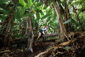 BIB: 
                            <button type="button" onclick="openModal(22387057)" class="btn btn-primary btn-sm float-right btn-popup" data-toggle="modal" data-target=".modal-high-quality">
                        <i class="fas fa-shopping-cart"></i> Add to Cart
                    </button>
                                            <button type="button" onclick="isThisMe(22387057, true)" class="btn btn-success btn-sm float-right btn-popup btn-isme hidden" data-toggle="tooltip" data-placement="bottom" title="นี่คือรูปของคุณใช่ไหม คลิกที่นี่เพื่อเอาเข้าอัลบั้ม">
                        <i class="fas fa-plus"></i> Add to album
                    </button>
                    <button type="button" onclick="isThisMe(22387057, false)" class="btn btn-warning btn-sm float-right btn-popup btn-isnotme hidden">
                        <i class="fas fa-ban"></i> Remove from album
                    </button>