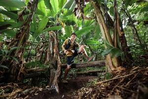 BIB: 
                            <button type="button" onclick="openModal(22392881)" class="btn btn-primary btn-sm float-right btn-popup" data-toggle="modal" data-target=".modal-high-quality">
                        <i class="fas fa-shopping-cart"></i> Add to Cart
                    </button>
                                            <button type="button" onclick="isThisMe(22392881, true)" class="btn btn-success btn-sm float-right btn-popup btn-isme hidden" data-toggle="tooltip" data-placement="bottom" title="นี่คือรูปของคุณใช่ไหม คลิกที่นี่เพื่อเอาเข้าอัลบั้ม">
                        <i class="fas fa-plus"></i> Add to album
                    </button>
                    <button type="button" onclick="isThisMe(22392881, false)" class="btn btn-warning btn-sm float-right btn-popup btn-isnotme hidden">
                        <i class="fas fa-ban"></i> Remove from album
                    </button>