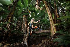 BIB: 
                            <button type="button" onclick="openModal(22400077)" class="btn btn-primary btn-sm float-right btn-popup" data-toggle="modal" data-target=".modal-high-quality">
                        <i class="fas fa-shopping-cart"></i> Add to Cart
                    </button>
                                            <button type="button" onclick="isThisMe(22400077, true)" class="btn btn-success btn-sm float-right btn-popup btn-isme hidden" data-toggle="tooltip" data-placement="bottom" title="นี่คือรูปของคุณใช่ไหม คลิกที่นี่เพื่อเอาเข้าอัลบั้ม">
                        <i class="fas fa-plus"></i> Add to album
                    </button>
                    <button type="button" onclick="isThisMe(22400077, false)" class="btn btn-warning btn-sm float-right btn-popup btn-isnotme hidden">
                        <i class="fas fa-ban"></i> Remove from album
                    </button>