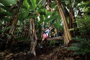 BIB: 
                            <button type="button" onclick="openModal(22398060)" class="btn btn-primary btn-sm float-right btn-popup" data-toggle="modal" data-target=".modal-high-quality">
                        <i class="fas fa-shopping-cart"></i> Add to Cart
                    </button>
                                            <button type="button" onclick="isThisMe(22398060, true)" class="btn btn-success btn-sm float-right btn-popup btn-isme hidden" data-toggle="tooltip" data-placement="bottom" title="นี่คือรูปของคุณใช่ไหม คลิกที่นี่เพื่อเอาเข้าอัลบั้ม">
                        <i class="fas fa-plus"></i> Add to album
                    </button>
                    <button type="button" onclick="isThisMe(22398060, false)" class="btn btn-warning btn-sm float-right btn-popup btn-isnotme hidden">
                        <i class="fas fa-ban"></i> Remove from album
                    </button>