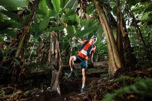 BIB: 
                            <button type="button" onclick="openModal(22393200)" class="btn btn-primary btn-sm float-right btn-popup" data-toggle="modal" data-target=".modal-high-quality">
                        <i class="fas fa-shopping-cart"></i> Add to Cart
                    </button>
                                            <button type="button" onclick="isThisMe(22393200, true)" class="btn btn-success btn-sm float-right btn-popup btn-isme hidden" data-toggle="tooltip" data-placement="bottom" title="นี่คือรูปของคุณใช่ไหม คลิกที่นี่เพื่อเอาเข้าอัลบั้ม">
                        <i class="fas fa-plus"></i> Add to album
                    </button>
                    <button type="button" onclick="isThisMe(22393200, false)" class="btn btn-warning btn-sm float-right btn-popup btn-isnotme hidden">
                        <i class="fas fa-ban"></i> Remove from album
                    </button>