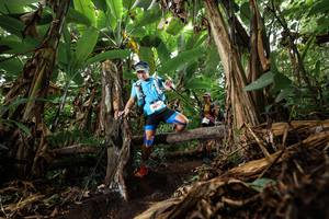 BIB: 3677
                            <button type="button" onclick="openModal(22389579)" class="btn btn-primary btn-sm float-right btn-popup" data-toggle="modal" data-target=".modal-high-quality">
                        <i class="fas fa-shopping-cart"></i> Add to Cart
                    </button>
                                            <button type="button" onclick="isThisMe(22389579, true)" class="btn btn-success btn-sm float-right btn-popup btn-isme hidden" data-toggle="tooltip" data-placement="bottom" title="นี่คือรูปของคุณใช่ไหม คลิกที่นี่เพื่อเอาเข้าอัลบั้ม">
                        <i class="fas fa-plus"></i> Add to album
                    </button>
                    <button type="button" onclick="isThisMe(22389579, false)" class="btn btn-warning btn-sm float-right btn-popup btn-isnotme hidden">
                        <i class="fas fa-ban"></i> Remove from album
                    </button>