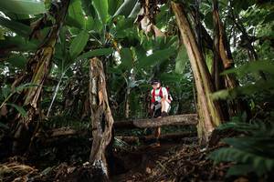 BIB: 
                            <button type="button" onclick="openModal(22413462)" class="btn btn-primary btn-sm float-right btn-popup" data-toggle="modal" data-target=".modal-high-quality">
                        <i class="fas fa-shopping-cart"></i> Add to Cart
                    </button>
                                            <button type="button" onclick="isThisMe(22413462, true)" class="btn btn-success btn-sm float-right btn-popup btn-isme hidden" data-toggle="tooltip" data-placement="bottom" title="นี่คือรูปของคุณใช่ไหม คลิกที่นี่เพื่อเอาเข้าอัลบั้ม">
                        <i class="fas fa-plus"></i> Add to album
                    </button>
                    <button type="button" onclick="isThisMe(22413462, false)" class="btn btn-warning btn-sm float-right btn-popup btn-isnotme hidden">
                        <i class="fas fa-ban"></i> Remove from album
                    </button>