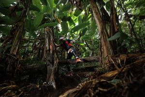 BIB: 
                            <button type="button" onclick="openModal(22387368)" class="btn btn-primary btn-sm float-right btn-popup" data-toggle="modal" data-target=".modal-high-quality">
                        <i class="fas fa-shopping-cart"></i> Add to Cart
                    </button>
                                            <button type="button" onclick="isThisMe(22387368, true)" class="btn btn-success btn-sm float-right btn-popup btn-isme hidden" data-toggle="tooltip" data-placement="bottom" title="นี่คือรูปของคุณใช่ไหม คลิกที่นี่เพื่อเอาเข้าอัลบั้ม">
                        <i class="fas fa-plus"></i> Add to album
                    </button>
                    <button type="button" onclick="isThisMe(22387368, false)" class="btn btn-warning btn-sm float-right btn-popup btn-isnotme hidden">
                        <i class="fas fa-ban"></i> Remove from album
                    </button>