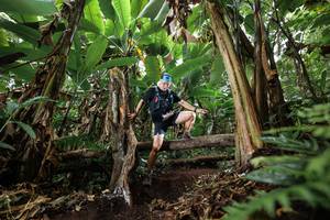 BIB: 
                            <button type="button" onclick="openModal(22393406)" class="btn btn-primary btn-sm float-right btn-popup" data-toggle="modal" data-target=".modal-high-quality">
                        <i class="fas fa-shopping-cart"></i> Add to Cart
                    </button>
                                            <button type="button" onclick="isThisMe(22393406, true)" class="btn btn-success btn-sm float-right btn-popup btn-isme hidden" data-toggle="tooltip" data-placement="bottom" title="นี่คือรูปของคุณใช่ไหม คลิกที่นี่เพื่อเอาเข้าอัลบั้ม">
                        <i class="fas fa-plus"></i> Add to album
                    </button>
                    <button type="button" onclick="isThisMe(22393406, false)" class="btn btn-warning btn-sm float-right btn-popup btn-isnotme hidden">
                        <i class="fas fa-ban"></i> Remove from album
                    </button>