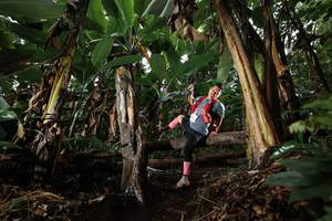 BIB: 
                            <button type="button" onclick="openModal(22422159)" class="btn btn-primary btn-sm float-right btn-popup" data-toggle="modal" data-target=".modal-high-quality">
                        <i class="fas fa-shopping-cart"></i> Add to Cart
                    </button>
                                            <button type="button" onclick="isThisMe(22422159, true)" class="btn btn-success btn-sm float-right btn-popup btn-isme hidden" data-toggle="tooltip" data-placement="bottom" title="นี่คือรูปของคุณใช่ไหม คลิกที่นี่เพื่อเอาเข้าอัลบั้ม">
                        <i class="fas fa-plus"></i> Add to album
                    </button>
                    <button type="button" onclick="isThisMe(22422159, false)" class="btn btn-warning btn-sm float-right btn-popup btn-isnotme hidden">
                        <i class="fas fa-ban"></i> Remove from album
                    </button>