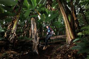 BIB: 
                            <button type="button" onclick="openModal(22422266)" class="btn btn-primary btn-sm float-right btn-popup" data-toggle="modal" data-target=".modal-high-quality">
                        <i class="fas fa-shopping-cart"></i> Add to Cart
                    </button>
                                            <button type="button" onclick="isThisMe(22422266, true)" class="btn btn-success btn-sm float-right btn-popup btn-isme hidden" data-toggle="tooltip" data-placement="bottom" title="นี่คือรูปของคุณใช่ไหม คลิกที่นี่เพื่อเอาเข้าอัลบั้ม">
                        <i class="fas fa-plus"></i> Add to album
                    </button>
                    <button type="button" onclick="isThisMe(22422266, false)" class="btn btn-warning btn-sm float-right btn-popup btn-isnotme hidden">
                        <i class="fas fa-ban"></i> Remove from album
                    </button>