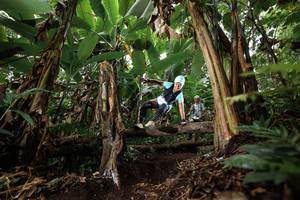 BIB: 
                            <button type="button" onclick="openModal(22397986)" class="btn btn-primary btn-sm float-right btn-popup" data-toggle="modal" data-target=".modal-high-quality">
                        <i class="fas fa-shopping-cart"></i> Add to Cart
                    </button>
                                            <button type="button" onclick="isThisMe(22397986, true)" class="btn btn-success btn-sm float-right btn-popup btn-isme hidden" data-toggle="tooltip" data-placement="bottom" title="นี่คือรูปของคุณใช่ไหม คลิกที่นี่เพื่อเอาเข้าอัลบั้ม">
                        <i class="fas fa-plus"></i> Add to album
                    </button>
                    <button type="button" onclick="isThisMe(22397986, false)" class="btn btn-warning btn-sm float-right btn-popup btn-isnotme hidden">
                        <i class="fas fa-ban"></i> Remove from album
                    </button>