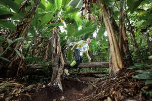 BIB: 
                            <button type="button" onclick="openModal(22416032)" class="btn btn-primary btn-sm float-right btn-popup" data-toggle="modal" data-target=".modal-high-quality">
                        <i class="fas fa-shopping-cart"></i> Add to Cart
                    </button>
                                            <button type="button" onclick="isThisMe(22416032, true)" class="btn btn-success btn-sm float-right btn-popup btn-isme hidden" data-toggle="tooltip" data-placement="bottom" title="นี่คือรูปของคุณใช่ไหม คลิกที่นี่เพื่อเอาเข้าอัลบั้ม">
                        <i class="fas fa-plus"></i> Add to album
                    </button>
                    <button type="button" onclick="isThisMe(22416032, false)" class="btn btn-warning btn-sm float-right btn-popup btn-isnotme hidden">
                        <i class="fas fa-ban"></i> Remove from album
                    </button>