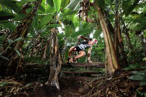 BIB: 
                            <button type="button" onclick="openModal(22416625)" class="btn btn-primary btn-sm float-right btn-popup" data-toggle="modal" data-target=".modal-high-quality">
                        <i class="fas fa-shopping-cart"></i> Add to Cart
                    </button>
                                            <button type="button" onclick="isThisMe(22416625, true)" class="btn btn-success btn-sm float-right btn-popup btn-isme hidden" data-toggle="tooltip" data-placement="bottom" title="นี่คือรูปของคุณใช่ไหม คลิกที่นี่เพื่อเอาเข้าอัลบั้ม">
                        <i class="fas fa-plus"></i> Add to album
                    </button>
                    <button type="button" onclick="isThisMe(22416625, false)" class="btn btn-warning btn-sm float-right btn-popup btn-isnotme hidden">
                        <i class="fas fa-ban"></i> Remove from album
                    </button>