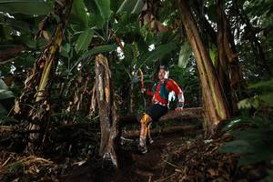 BIB: 
                            <button type="button" onclick="openModal(22422625)" class="btn btn-primary btn-sm float-right btn-popup" data-toggle="modal" data-target=".modal-high-quality">
                        <i class="fas fa-shopping-cart"></i> Add to Cart
                    </button>
                                            <button type="button" onclick="isThisMe(22422625, true)" class="btn btn-success btn-sm float-right btn-popup btn-isme hidden" data-toggle="tooltip" data-placement="bottom" title="นี่คือรูปของคุณใช่ไหม คลิกที่นี่เพื่อเอาเข้าอัลบั้ม">
                        <i class="fas fa-plus"></i> Add to album
                    </button>
                    <button type="button" onclick="isThisMe(22422625, false)" class="btn btn-warning btn-sm float-right btn-popup btn-isnotme hidden">
                        <i class="fas fa-ban"></i> Remove from album
                    </button>