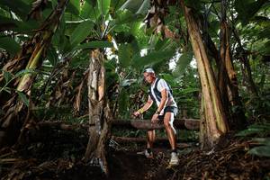 BIB: 
                            <button type="button" onclick="openModal(22418365)" class="btn btn-primary btn-sm float-right btn-popup" data-toggle="modal" data-target=".modal-high-quality">
                        <i class="fas fa-shopping-cart"></i> Add to Cart
                    </button>
                                            <button type="button" onclick="isThisMe(22418365, true)" class="btn btn-success btn-sm float-right btn-popup btn-isme hidden" data-toggle="tooltip" data-placement="bottom" title="นี่คือรูปของคุณใช่ไหม คลิกที่นี่เพื่อเอาเข้าอัลบั้ม">
                        <i class="fas fa-plus"></i> Add to album
                    </button>
                    <button type="button" onclick="isThisMe(22418365, false)" class="btn btn-warning btn-sm float-right btn-popup btn-isnotme hidden">
                        <i class="fas fa-ban"></i> Remove from album
                    </button>