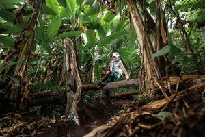 BIB: 
                            <button type="button" onclick="openModal(22389415)" class="btn btn-primary btn-sm float-right btn-popup" data-toggle="modal" data-target=".modal-high-quality">
                        <i class="fas fa-shopping-cart"></i> Add to Cart
                    </button>
                                            <button type="button" onclick="isThisMe(22389415, true)" class="btn btn-success btn-sm float-right btn-popup btn-isme hidden" data-toggle="tooltip" data-placement="bottom" title="นี่คือรูปของคุณใช่ไหม คลิกที่นี่เพื่อเอาเข้าอัลบั้ม">
                        <i class="fas fa-plus"></i> Add to album
                    </button>
                    <button type="button" onclick="isThisMe(22389415, false)" class="btn btn-warning btn-sm float-right btn-popup btn-isnotme hidden">
                        <i class="fas fa-ban"></i> Remove from album
                    </button>