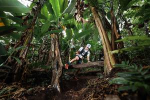 BIB: 
                            <button type="button" onclick="openModal(22398958)" class="btn btn-primary btn-sm float-right btn-popup" data-toggle="modal" data-target=".modal-high-quality">
                        <i class="fas fa-shopping-cart"></i> Add to Cart
                    </button>
                                            <button type="button" onclick="isThisMe(22398958, true)" class="btn btn-success btn-sm float-right btn-popup btn-isme hidden" data-toggle="tooltip" data-placement="bottom" title="นี่คือรูปของคุณใช่ไหม คลิกที่นี่เพื่อเอาเข้าอัลบั้ม">
                        <i class="fas fa-plus"></i> Add to album
                    </button>
                    <button type="button" onclick="isThisMe(22398958, false)" class="btn btn-warning btn-sm float-right btn-popup btn-isnotme hidden">
                        <i class="fas fa-ban"></i> Remove from album
                    </button>