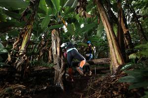 BIB: 
                            <button type="button" onclick="openModal(22422227)" class="btn btn-primary btn-sm float-right btn-popup" data-toggle="modal" data-target=".modal-high-quality">
                        <i class="fas fa-shopping-cart"></i> Add to Cart
                    </button>
                                            <button type="button" onclick="isThisMe(22422227, true)" class="btn btn-success btn-sm float-right btn-popup btn-isme hidden" data-toggle="tooltip" data-placement="bottom" title="นี่คือรูปของคุณใช่ไหม คลิกที่นี่เพื่อเอาเข้าอัลบั้ม">
                        <i class="fas fa-plus"></i> Add to album
                    </button>
                    <button type="button" onclick="isThisMe(22422227, false)" class="btn btn-warning btn-sm float-right btn-popup btn-isnotme hidden">
                        <i class="fas fa-ban"></i> Remove from album
                    </button>