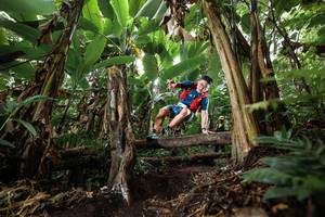 BIB: 
                            <button type="button" onclick="openModal(22398388)" class="btn btn-primary btn-sm float-right btn-popup" data-toggle="modal" data-target=".modal-high-quality">
                        <i class="fas fa-shopping-cart"></i> Add to Cart
                    </button>
                                            <button type="button" onclick="isThisMe(22398388, true)" class="btn btn-success btn-sm float-right btn-popup btn-isme hidden" data-toggle="tooltip" data-placement="bottom" title="นี่คือรูปของคุณใช่ไหม คลิกที่นี่เพื่อเอาเข้าอัลบั้ม">
                        <i class="fas fa-plus"></i> Add to album
                    </button>
                    <button type="button" onclick="isThisMe(22398388, false)" class="btn btn-warning btn-sm float-right btn-popup btn-isnotme hidden">
                        <i class="fas fa-ban"></i> Remove from album
                    </button>