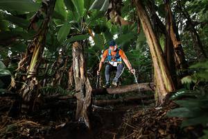 BIB: 
                            <button type="button" onclick="openModal(22422059)" class="btn btn-primary btn-sm float-right btn-popup" data-toggle="modal" data-target=".modal-high-quality">
                        <i class="fas fa-shopping-cart"></i> Add to Cart
                    </button>
                                            <button type="button" onclick="isThisMe(22422059, true)" class="btn btn-success btn-sm float-right btn-popup btn-isme hidden" data-toggle="tooltip" data-placement="bottom" title="นี่คือรูปของคุณใช่ไหม คลิกที่นี่เพื่อเอาเข้าอัลบั้ม">
                        <i class="fas fa-plus"></i> Add to album
                    </button>
                    <button type="button" onclick="isThisMe(22422059, false)" class="btn btn-warning btn-sm float-right btn-popup btn-isnotme hidden">
                        <i class="fas fa-ban"></i> Remove from album
                    </button>