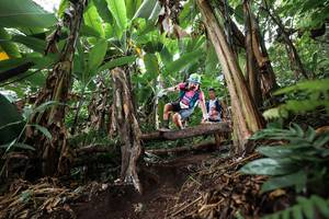 BIB: 
                            <button type="button" onclick="openModal(22415499)" class="btn btn-primary btn-sm float-right btn-popup" data-toggle="modal" data-target=".modal-high-quality">
                        <i class="fas fa-shopping-cart"></i> Add to Cart
                    </button>
                                            <button type="button" onclick="isThisMe(22415499, true)" class="btn btn-success btn-sm float-right btn-popup btn-isme hidden" data-toggle="tooltip" data-placement="bottom" title="นี่คือรูปของคุณใช่ไหม คลิกที่นี่เพื่อเอาเข้าอัลบั้ม">
                        <i class="fas fa-plus"></i> Add to album
                    </button>
                    <button type="button" onclick="isThisMe(22415499, false)" class="btn btn-warning btn-sm float-right btn-popup btn-isnotme hidden">
                        <i class="fas fa-ban"></i> Remove from album
                    </button>