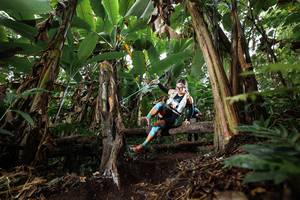 BIB: 
                            <button type="button" onclick="openModal(22397975)" class="btn btn-primary btn-sm float-right btn-popup" data-toggle="modal" data-target=".modal-high-quality">
                        <i class="fas fa-shopping-cart"></i> Add to Cart
                    </button>
                                            <button type="button" onclick="isThisMe(22397975, true)" class="btn btn-success btn-sm float-right btn-popup btn-isme hidden" data-toggle="tooltip" data-placement="bottom" title="นี่คือรูปของคุณใช่ไหม คลิกที่นี่เพื่อเอาเข้าอัลบั้ม">
                        <i class="fas fa-plus"></i> Add to album
                    </button>
                    <button type="button" onclick="isThisMe(22397975, false)" class="btn btn-warning btn-sm float-right btn-popup btn-isnotme hidden">
                        <i class="fas fa-ban"></i> Remove from album
                    </button>