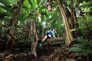 BIB: 
                            <button type="button" onclick="openModal(22398659)" class="btn btn-primary btn-sm float-right btn-popup" data-toggle="modal" data-target=".modal-high-quality">
                        <i class="fas fa-shopping-cart"></i> Add to Cart
                    </button>
                                            <button type="button" onclick="isThisMe(22398659, true)" class="btn btn-success btn-sm float-right btn-popup btn-isme hidden" data-toggle="tooltip" data-placement="bottom" title="นี่คือรูปของคุณใช่ไหม คลิกที่นี่เพื่อเอาเข้าอัลบั้ม">
                        <i class="fas fa-plus"></i> Add to album
                    </button>
                    <button type="button" onclick="isThisMe(22398659, false)" class="btn btn-warning btn-sm float-right btn-popup btn-isnotme hidden">
                        <i class="fas fa-ban"></i> Remove from album
                    </button>