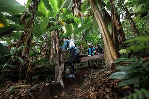 BIB: 
                            <button type="button" onclick="openModal(22415779)" class="btn btn-primary btn-sm float-right btn-popup" data-toggle="modal" data-target=".modal-high-quality">
                        <i class="fas fa-shopping-cart"></i> Add to Cart
                    </button>
                                            <button type="button" onclick="isThisMe(22415779, true)" class="btn btn-success btn-sm float-right btn-popup btn-isme hidden" data-toggle="tooltip" data-placement="bottom" title="นี่คือรูปของคุณใช่ไหม คลิกที่นี่เพื่อเอาเข้าอัลบั้ม">
                        <i class="fas fa-plus"></i> Add to album
                    </button>
                    <button type="button" onclick="isThisMe(22415779, false)" class="btn btn-warning btn-sm float-right btn-popup btn-isnotme hidden">
                        <i class="fas fa-ban"></i> Remove from album
                    </button>