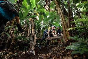 BIB: 
                            <button type="button" onclick="openModal(22395219)" class="btn btn-primary btn-sm float-right btn-popup" data-toggle="modal" data-target=".modal-high-quality">
                        <i class="fas fa-shopping-cart"></i> Add to Cart
                    </button>
                                            <button type="button" onclick="isThisMe(22395219, true)" class="btn btn-success btn-sm float-right btn-popup btn-isme hidden" data-toggle="tooltip" data-placement="bottom" title="นี่คือรูปของคุณใช่ไหม คลิกที่นี่เพื่อเอาเข้าอัลบั้ม">
                        <i class="fas fa-plus"></i> Add to album
                    </button>
                    <button type="button" onclick="isThisMe(22395219, false)" class="btn btn-warning btn-sm float-right btn-popup btn-isnotme hidden">
                        <i class="fas fa-ban"></i> Remove from album
                    </button>