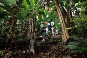 BIB: 
                            <button type="button" onclick="openModal(22397993)" class="btn btn-primary btn-sm float-right btn-popup" data-toggle="modal" data-target=".modal-high-quality">
                        <i class="fas fa-shopping-cart"></i> Add to Cart
                    </button>
                                            <button type="button" onclick="isThisMe(22397993, true)" class="btn btn-success btn-sm float-right btn-popup btn-isme hidden" data-toggle="tooltip" data-placement="bottom" title="นี่คือรูปของคุณใช่ไหม คลิกที่นี่เพื่อเอาเข้าอัลบั้ม">
                        <i class="fas fa-plus"></i> Add to album
                    </button>
                    <button type="button" onclick="isThisMe(22397993, false)" class="btn btn-warning btn-sm float-right btn-popup btn-isnotme hidden">
                        <i class="fas fa-ban"></i> Remove from album
                    </button>