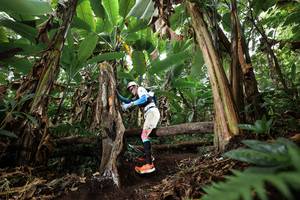 BIB: 
                            <button type="button" onclick="openModal(22393230)" class="btn btn-primary btn-sm float-right btn-popup" data-toggle="modal" data-target=".modal-high-quality">
                        <i class="fas fa-shopping-cart"></i> Add to Cart
                    </button>
                                            <button type="button" onclick="isThisMe(22393230, true)" class="btn btn-success btn-sm float-right btn-popup btn-isme hidden" data-toggle="tooltip" data-placement="bottom" title="นี่คือรูปของคุณใช่ไหม คลิกที่นี่เพื่อเอาเข้าอัลบั้ม">
                        <i class="fas fa-plus"></i> Add to album
                    </button>
                    <button type="button" onclick="isThisMe(22393230, false)" class="btn btn-warning btn-sm float-right btn-popup btn-isnotme hidden">
                        <i class="fas fa-ban"></i> Remove from album
                    </button>