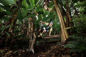 BIB: 
                            <button type="button" onclick="openModal(22394829)" class="btn btn-primary btn-sm float-right btn-popup" data-toggle="modal" data-target=".modal-high-quality">
                        <i class="fas fa-shopping-cart"></i> Add to Cart
                    </button>
                                            <button type="button" onclick="isThisMe(22394829, true)" class="btn btn-success btn-sm float-right btn-popup btn-isme hidden" data-toggle="tooltip" data-placement="bottom" title="นี่คือรูปของคุณใช่ไหม คลิกที่นี่เพื่อเอาเข้าอัลบั้ม">
                        <i class="fas fa-plus"></i> Add to album
                    </button>
                    <button type="button" onclick="isThisMe(22394829, false)" class="btn btn-warning btn-sm float-right btn-popup btn-isnotme hidden">
                        <i class="fas fa-ban"></i> Remove from album
                    </button>