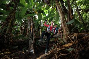 BIB: 
                            <button type="button" onclick="openModal(22387302)" class="btn btn-primary btn-sm float-right btn-popup" data-toggle="modal" data-target=".modal-high-quality">
                        <i class="fas fa-shopping-cart"></i> Add to Cart
                    </button>
                                            <button type="button" onclick="isThisMe(22387302, true)" class="btn btn-success btn-sm float-right btn-popup btn-isme hidden" data-toggle="tooltip" data-placement="bottom" title="นี่คือรูปของคุณใช่ไหม คลิกที่นี่เพื่อเอาเข้าอัลบั้ม">
                        <i class="fas fa-plus"></i> Add to album
                    </button>
                    <button type="button" onclick="isThisMe(22387302, false)" class="btn btn-warning btn-sm float-right btn-popup btn-isnotme hidden">
                        <i class="fas fa-ban"></i> Remove from album
                    </button>