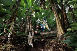 BIB: 
                            <button type="button" onclick="openModal(22420901)" class="btn btn-primary btn-sm float-right btn-popup" data-toggle="modal" data-target=".modal-high-quality">
                        <i class="fas fa-shopping-cart"></i> Add to Cart
                    </button>
                                            <button type="button" onclick="isThisMe(22420901, true)" class="btn btn-success btn-sm float-right btn-popup btn-isme hidden" data-toggle="tooltip" data-placement="bottom" title="นี่คือรูปของคุณใช่ไหม คลิกที่นี่เพื่อเอาเข้าอัลบั้ม">
                        <i class="fas fa-plus"></i> Add to album
                    </button>
                    <button type="button" onclick="isThisMe(22420901, false)" class="btn btn-warning btn-sm float-right btn-popup btn-isnotme hidden">
                        <i class="fas fa-ban"></i> Remove from album
                    </button>