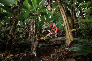 BIB: 
                            <button type="button" onclick="openModal(22394604)" class="btn btn-primary btn-sm float-right btn-popup" data-toggle="modal" data-target=".modal-high-quality">
                        <i class="fas fa-shopping-cart"></i> Add to Cart
                    </button>
                                            <button type="button" onclick="isThisMe(22394604, true)" class="btn btn-success btn-sm float-right btn-popup btn-isme hidden" data-toggle="tooltip" data-placement="bottom" title="นี่คือรูปของคุณใช่ไหม คลิกที่นี่เพื่อเอาเข้าอัลบั้ม">
                        <i class="fas fa-plus"></i> Add to album
                    </button>
                    <button type="button" onclick="isThisMe(22394604, false)" class="btn btn-warning btn-sm float-right btn-popup btn-isnotme hidden">
                        <i class="fas fa-ban"></i> Remove from album
                    </button>