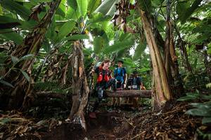 BIB: 
                            <button type="button" onclick="openModal(22416133)" class="btn btn-primary btn-sm float-right btn-popup" data-toggle="modal" data-target=".modal-high-quality">
                        <i class="fas fa-shopping-cart"></i> Add to Cart
                    </button>
                                            <button type="button" onclick="isThisMe(22416133, true)" class="btn btn-success btn-sm float-right btn-popup btn-isme hidden" data-toggle="tooltip" data-placement="bottom" title="นี่คือรูปของคุณใช่ไหม คลิกที่นี่เพื่อเอาเข้าอัลบั้ม">
                        <i class="fas fa-plus"></i> Add to album
                    </button>
                    <button type="button" onclick="isThisMe(22416133, false)" class="btn btn-warning btn-sm float-right btn-popup btn-isnotme hidden">
                        <i class="fas fa-ban"></i> Remove from album
                    </button>