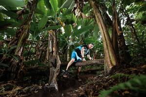 BIB: 
                            <button type="button" onclick="openModal(22393191)" class="btn btn-primary btn-sm float-right btn-popup" data-toggle="modal" data-target=".modal-high-quality">
                        <i class="fas fa-shopping-cart"></i> Add to Cart
                    </button>
                                            <button type="button" onclick="isThisMe(22393191, true)" class="btn btn-success btn-sm float-right btn-popup btn-isme hidden" data-toggle="tooltip" data-placement="bottom" title="นี่คือรูปของคุณใช่ไหม คลิกที่นี่เพื่อเอาเข้าอัลบั้ม">
                        <i class="fas fa-plus"></i> Add to album
                    </button>
                    <button type="button" onclick="isThisMe(22393191, false)" class="btn btn-warning btn-sm float-right btn-popup btn-isnotme hidden">
                        <i class="fas fa-ban"></i> Remove from album
                    </button>