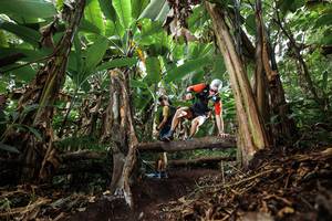 BIB: 
                            <button type="button" onclick="openModal(22392992)" class="btn btn-primary btn-sm float-right btn-popup" data-toggle="modal" data-target=".modal-high-quality">
                        <i class="fas fa-shopping-cart"></i> Add to Cart
                    </button>
                                            <button type="button" onclick="isThisMe(22392992, true)" class="btn btn-success btn-sm float-right btn-popup btn-isme hidden" data-toggle="tooltip" data-placement="bottom" title="นี่คือรูปของคุณใช่ไหม คลิกที่นี่เพื่อเอาเข้าอัลบั้ม">
                        <i class="fas fa-plus"></i> Add to album
                    </button>
                    <button type="button" onclick="isThisMe(22392992, false)" class="btn btn-warning btn-sm float-right btn-popup btn-isnotme hidden">
                        <i class="fas fa-ban"></i> Remove from album
                    </button>