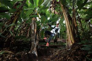 BIB: 
                            <button type="button" onclick="openModal(22417180)" class="btn btn-primary btn-sm float-right btn-popup" data-toggle="modal" data-target=".modal-high-quality">
                        <i class="fas fa-shopping-cart"></i> Add to Cart
                    </button>
                                            <button type="button" onclick="isThisMe(22417180, true)" class="btn btn-success btn-sm float-right btn-popup btn-isme hidden" data-toggle="tooltip" data-placement="bottom" title="นี่คือรูปของคุณใช่ไหม คลิกที่นี่เพื่อเอาเข้าอัลบั้ม">
                        <i class="fas fa-plus"></i> Add to album
                    </button>
                    <button type="button" onclick="isThisMe(22417180, false)" class="btn btn-warning btn-sm float-right btn-popup btn-isnotme hidden">
                        <i class="fas fa-ban"></i> Remove from album
                    </button>