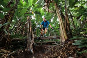 BIB: 
                            <button type="button" onclick="openModal(22415986)" class="btn btn-primary btn-sm float-right btn-popup" data-toggle="modal" data-target=".modal-high-quality">
                        <i class="fas fa-shopping-cart"></i> Add to Cart
                    </button>
                                            <button type="button" onclick="isThisMe(22415986, true)" class="btn btn-success btn-sm float-right btn-popup btn-isme hidden" data-toggle="tooltip" data-placement="bottom" title="นี่คือรูปของคุณใช่ไหม คลิกที่นี่เพื่อเอาเข้าอัลบั้ม">
                        <i class="fas fa-plus"></i> Add to album
                    </button>
                    <button type="button" onclick="isThisMe(22415986, false)" class="btn btn-warning btn-sm float-right btn-popup btn-isnotme hidden">
                        <i class="fas fa-ban"></i> Remove from album
                    </button>