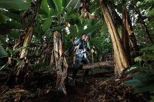 BIB: 
                            <button type="button" onclick="openModal(22420064)" class="btn btn-primary btn-sm float-right btn-popup" data-toggle="modal" data-target=".modal-high-quality">
                        <i class="fas fa-shopping-cart"></i> Add to Cart
                    </button>
                                            <button type="button" onclick="isThisMe(22420064, true)" class="btn btn-success btn-sm float-right btn-popup btn-isme hidden" data-toggle="tooltip" data-placement="bottom" title="นี่คือรูปของคุณใช่ไหม คลิกที่นี่เพื่อเอาเข้าอัลบั้ม">
                        <i class="fas fa-plus"></i> Add to album
                    </button>
                    <button type="button" onclick="isThisMe(22420064, false)" class="btn btn-warning btn-sm float-right btn-popup btn-isnotme hidden">
                        <i class="fas fa-ban"></i> Remove from album
                    </button>