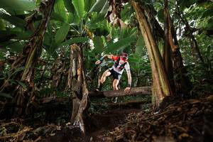 BIB: 
                            <button type="button" onclick="openModal(22393141)" class="btn btn-primary btn-sm float-right btn-popup" data-toggle="modal" data-target=".modal-high-quality">
                        <i class="fas fa-shopping-cart"></i> Add to Cart
                    </button>
                                            <button type="button" onclick="isThisMe(22393141, true)" class="btn btn-success btn-sm float-right btn-popup btn-isme hidden" data-toggle="tooltip" data-placement="bottom" title="นี่คือรูปของคุณใช่ไหม คลิกที่นี่เพื่อเอาเข้าอัลบั้ม">
                        <i class="fas fa-plus"></i> Add to album
                    </button>
                    <button type="button" onclick="isThisMe(22393141, false)" class="btn btn-warning btn-sm float-right btn-popup btn-isnotme hidden">
                        <i class="fas fa-ban"></i> Remove from album
                    </button>