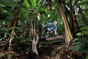 BIB: 
                            <button type="button" onclick="openModal(22420989)" class="btn btn-primary btn-sm float-right btn-popup" data-toggle="modal" data-target=".modal-high-quality">
                        <i class="fas fa-shopping-cart"></i> Add to Cart
                    </button>
                                            <button type="button" onclick="isThisMe(22420989, true)" class="btn btn-success btn-sm float-right btn-popup btn-isme hidden" data-toggle="tooltip" data-placement="bottom" title="นี่คือรูปของคุณใช่ไหม คลิกที่นี่เพื่อเอาเข้าอัลบั้ม">
                        <i class="fas fa-plus"></i> Add to album
                    </button>
                    <button type="button" onclick="isThisMe(22420989, false)" class="btn btn-warning btn-sm float-right btn-popup btn-isnotme hidden">
                        <i class="fas fa-ban"></i> Remove from album
                    </button>