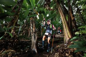 BIB: 
                            <button type="button" onclick="openModal(22420334)" class="btn btn-primary btn-sm float-right btn-popup" data-toggle="modal" data-target=".modal-high-quality">
                        <i class="fas fa-shopping-cart"></i> Add to Cart
                    </button>
                                            <button type="button" onclick="isThisMe(22420334, true)" class="btn btn-success btn-sm float-right btn-popup btn-isme hidden" data-toggle="tooltip" data-placement="bottom" title="นี่คือรูปของคุณใช่ไหม คลิกที่นี่เพื่อเอาเข้าอัลบั้ม">
                        <i class="fas fa-plus"></i> Add to album
                    </button>
                    <button type="button" onclick="isThisMe(22420334, false)" class="btn btn-warning btn-sm float-right btn-popup btn-isnotme hidden">
                        <i class="fas fa-ban"></i> Remove from album
                    </button>