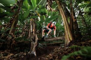 BIB: 
                            <button type="button" onclick="openModal(22393195)" class="btn btn-primary btn-sm float-right btn-popup" data-toggle="modal" data-target=".modal-high-quality">
                        <i class="fas fa-shopping-cart"></i> Add to Cart
                    </button>
                                            <button type="button" onclick="isThisMe(22393195, true)" class="btn btn-success btn-sm float-right btn-popup btn-isme hidden" data-toggle="tooltip" data-placement="bottom" title="นี่คือรูปของคุณใช่ไหม คลิกที่นี่เพื่อเอาเข้าอัลบั้ม">
                        <i class="fas fa-plus"></i> Add to album
                    </button>
                    <button type="button" onclick="isThisMe(22393195, false)" class="btn btn-warning btn-sm float-right btn-popup btn-isnotme hidden">
                        <i class="fas fa-ban"></i> Remove from album
                    </button>